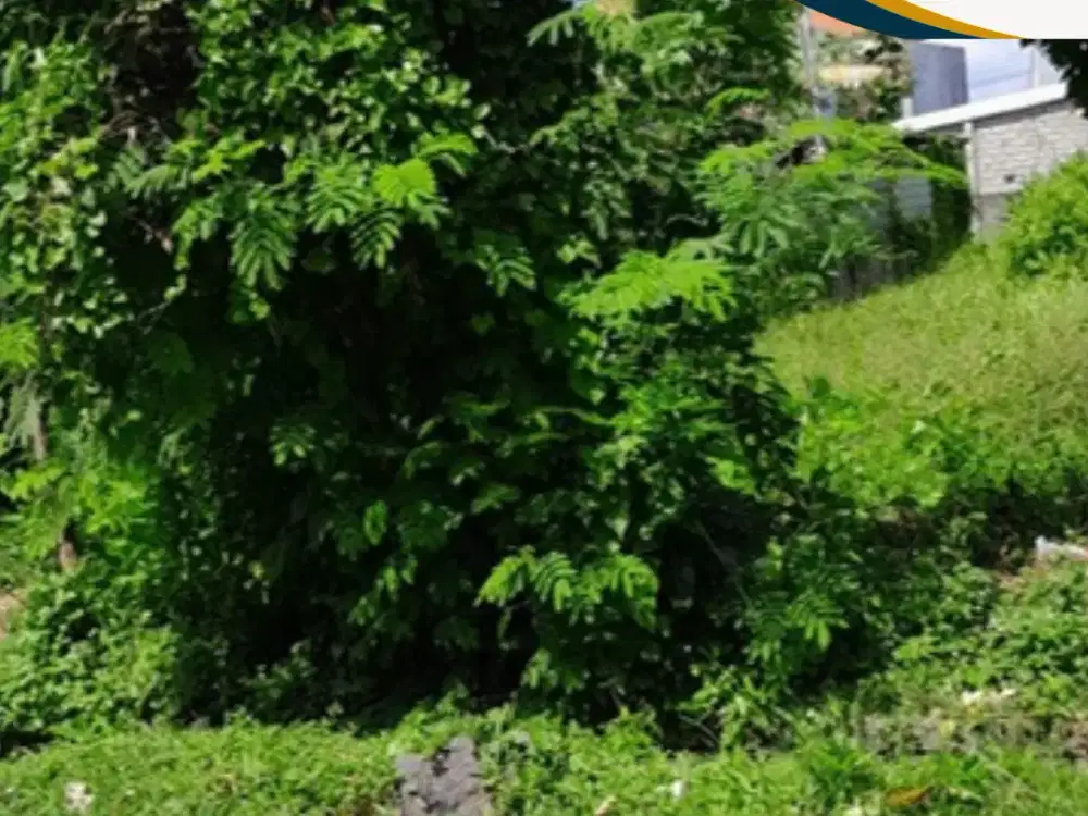 DIJUAL LAHAN STRATEGIS – PURA BATU PAGEH, UNGASAN
