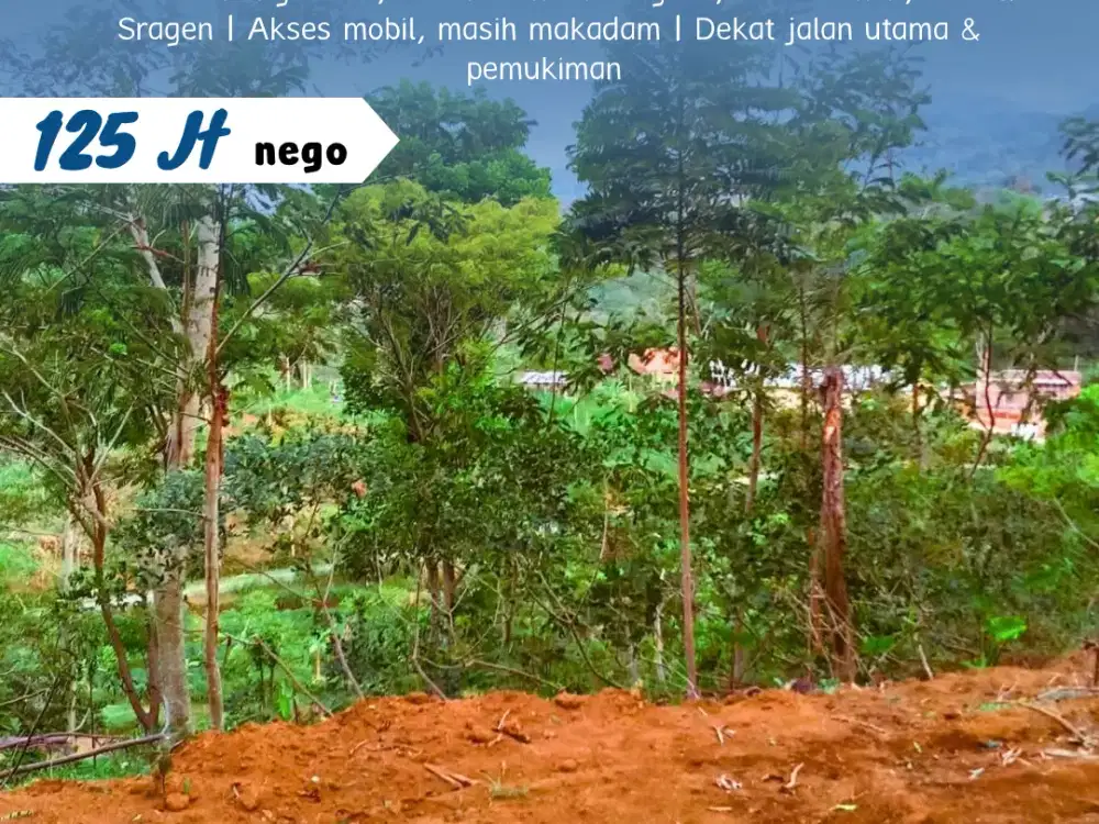 Dijual Tanah Cantik Datar View Gunung Lawu Di Jenawi, Karanganyar – A1