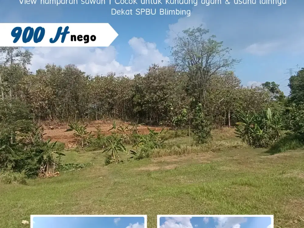 Dijual Tanah Murah Di Sambirejo, Sragen