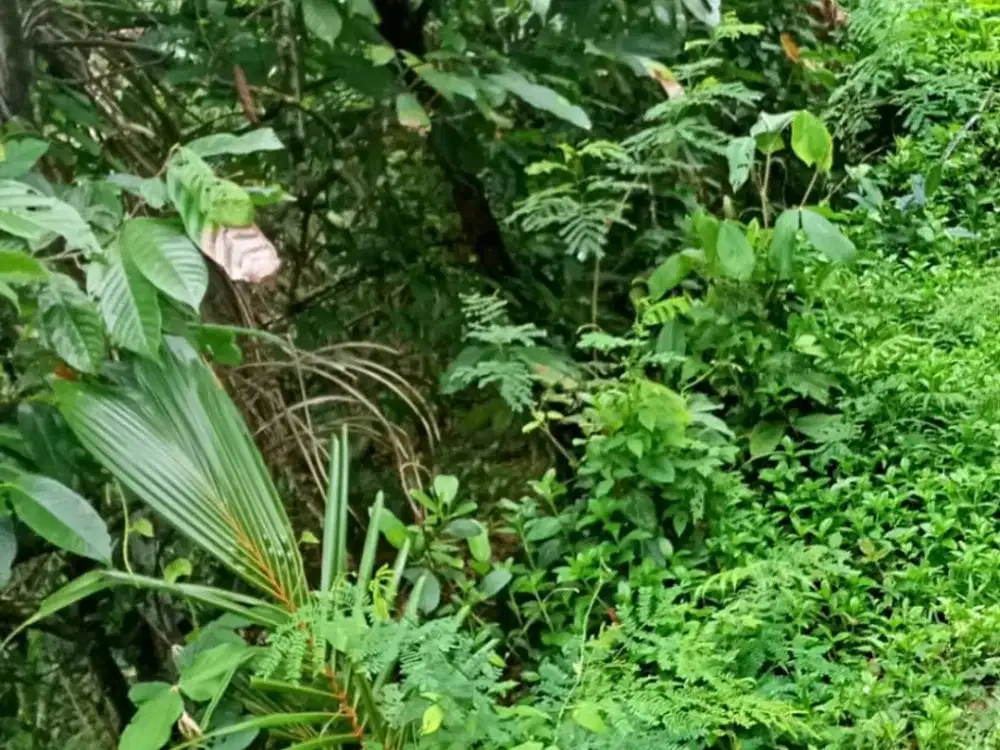 Dijual Lahan di Lingkungan Villa & Tempat Wisata Super Tenang