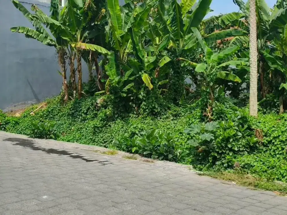 JUAL TANAH BAGUS PUSAT KOTA DENPASAR