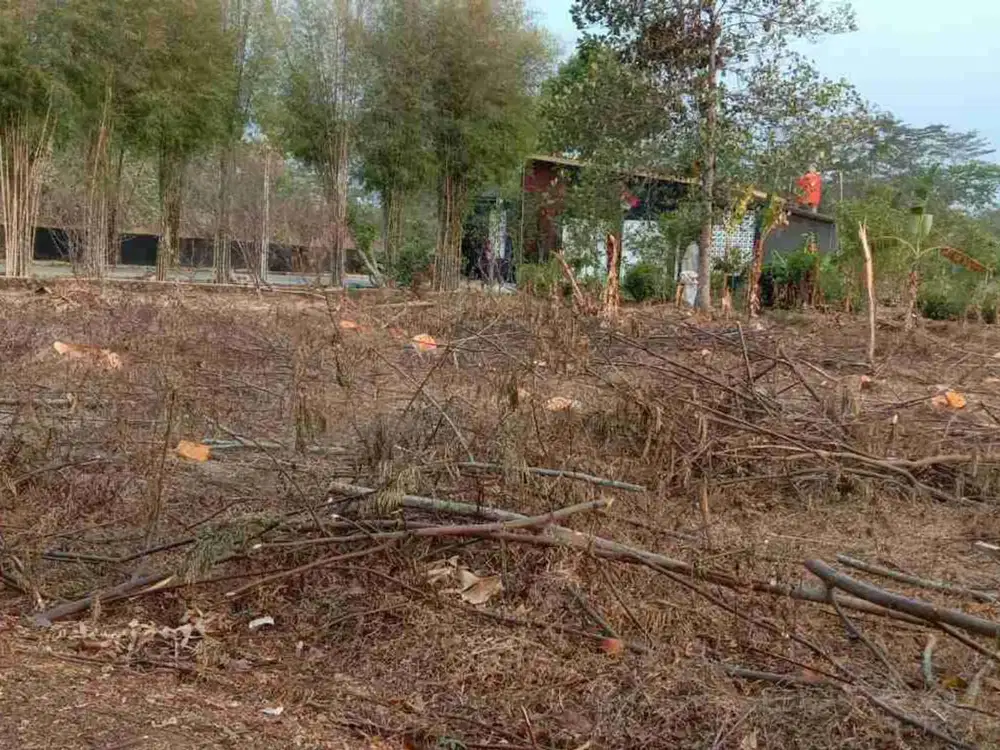tanah kavling murah deket Fatimah zahra di gunungpati