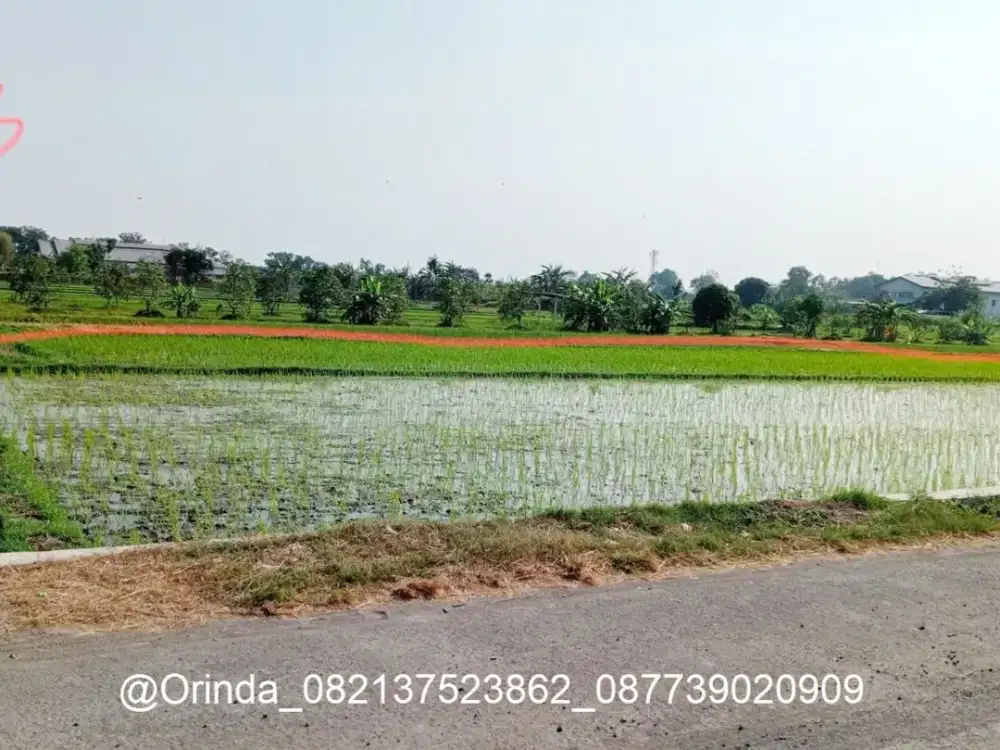 LT 925 LD10 TEGALTIRTO BERBAH TANAH DI KUNCEN SANGGRAHAN SHM DEKAT JL WONOSARI KM 10, KIDS FUN, JL RAYA BERBAH, POOL BUS BIMO, PABRIK ROKOK SAMPOERNA