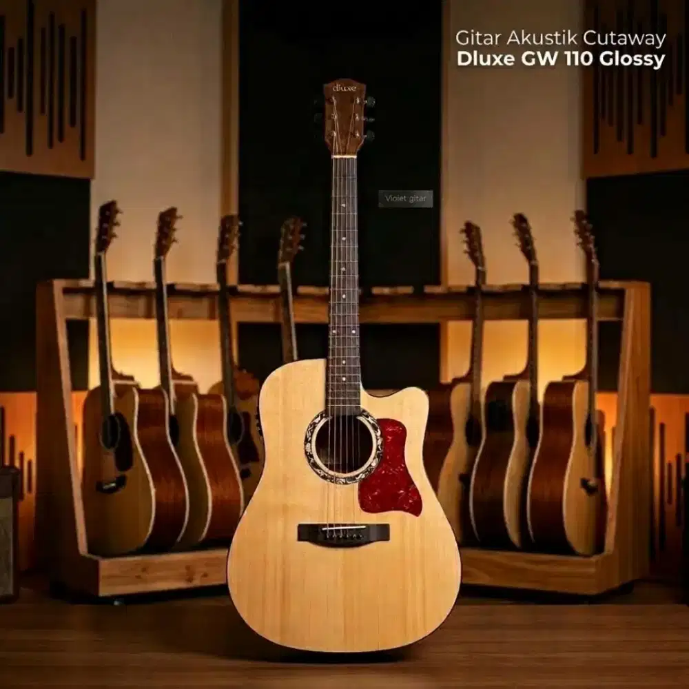 Gitar Cutaway Dluxe DW-110G New Original