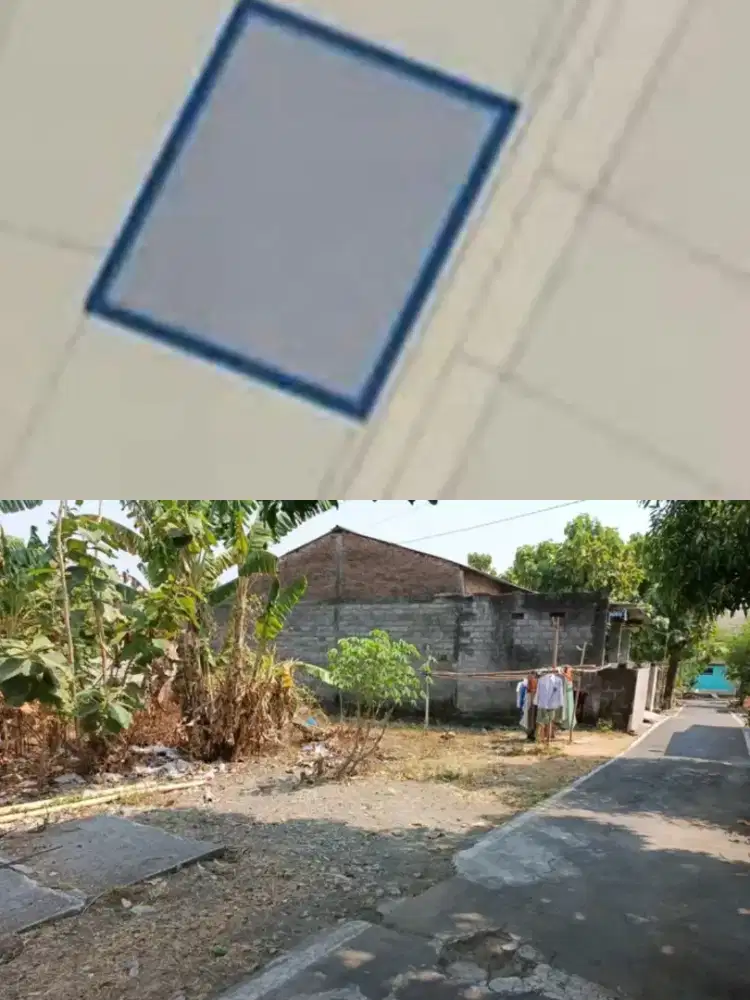 Tanah palur murah