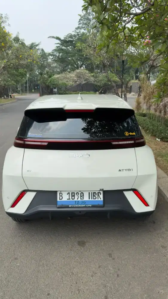 Cash Premium BYD Atto 1