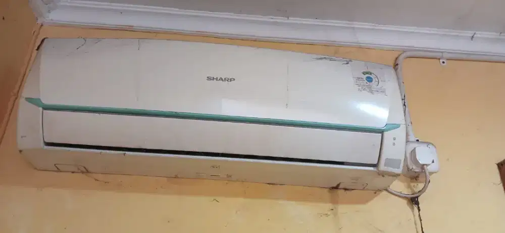 ac sharp bagus top