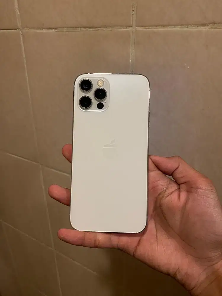 iPhone 12 Pro 512 Silver Fullset Original