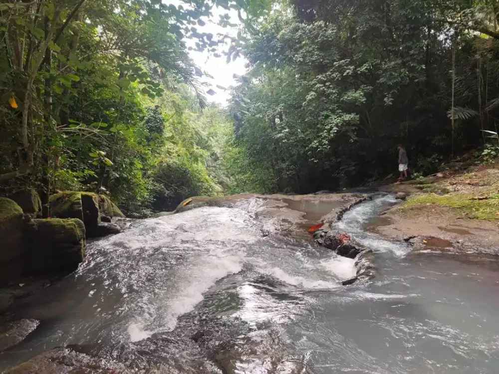 Dijual Tanah Cocok untuk Pembangunan Eco Resort/ Private Villa