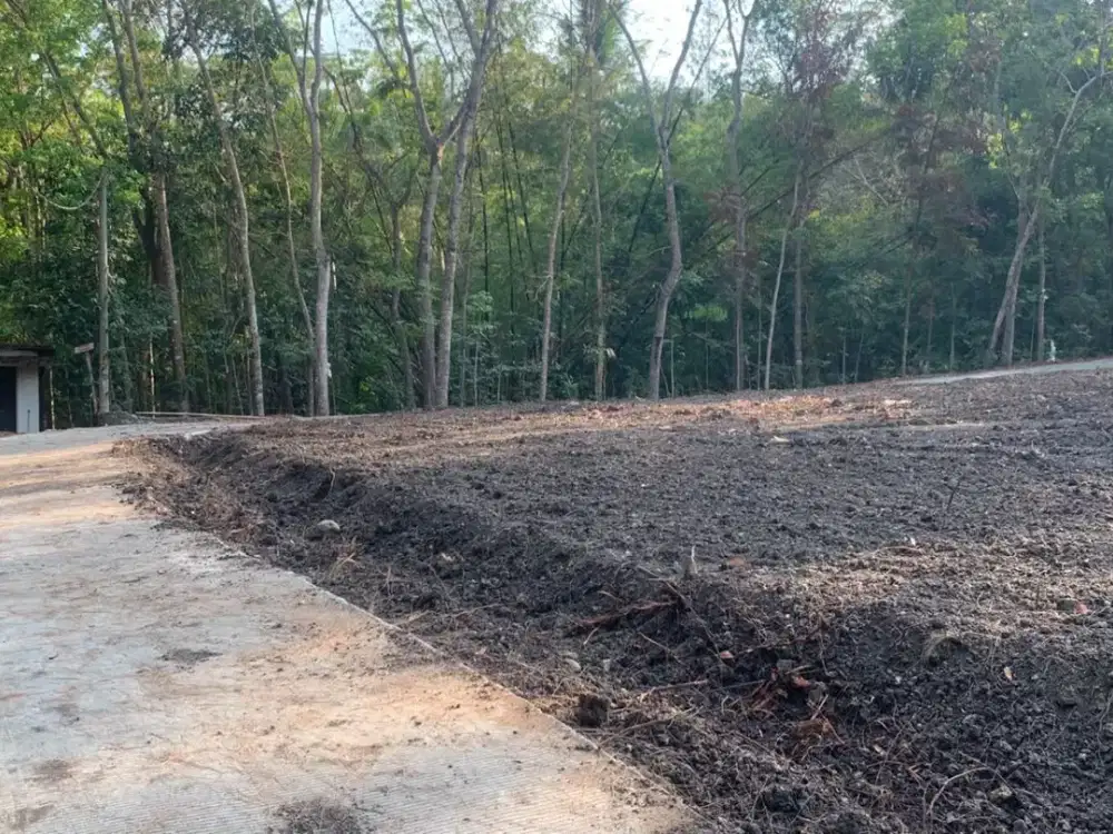 Tanah Sleman Selatan Jl Wates Dekat RS PKU Muhammadiyah