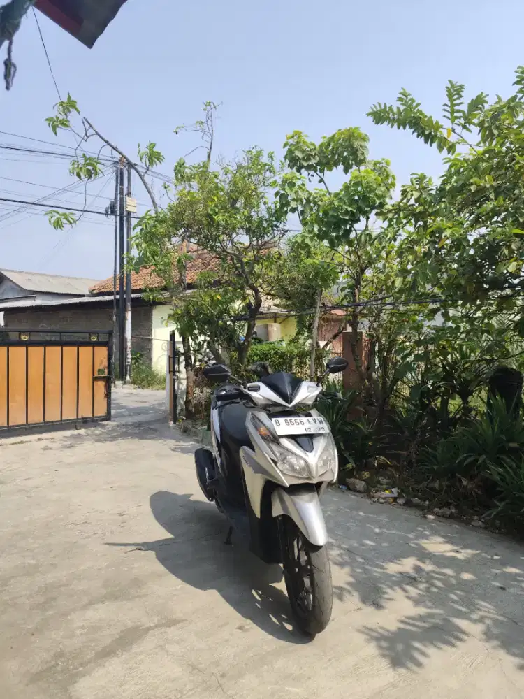 vario kzr th 2013