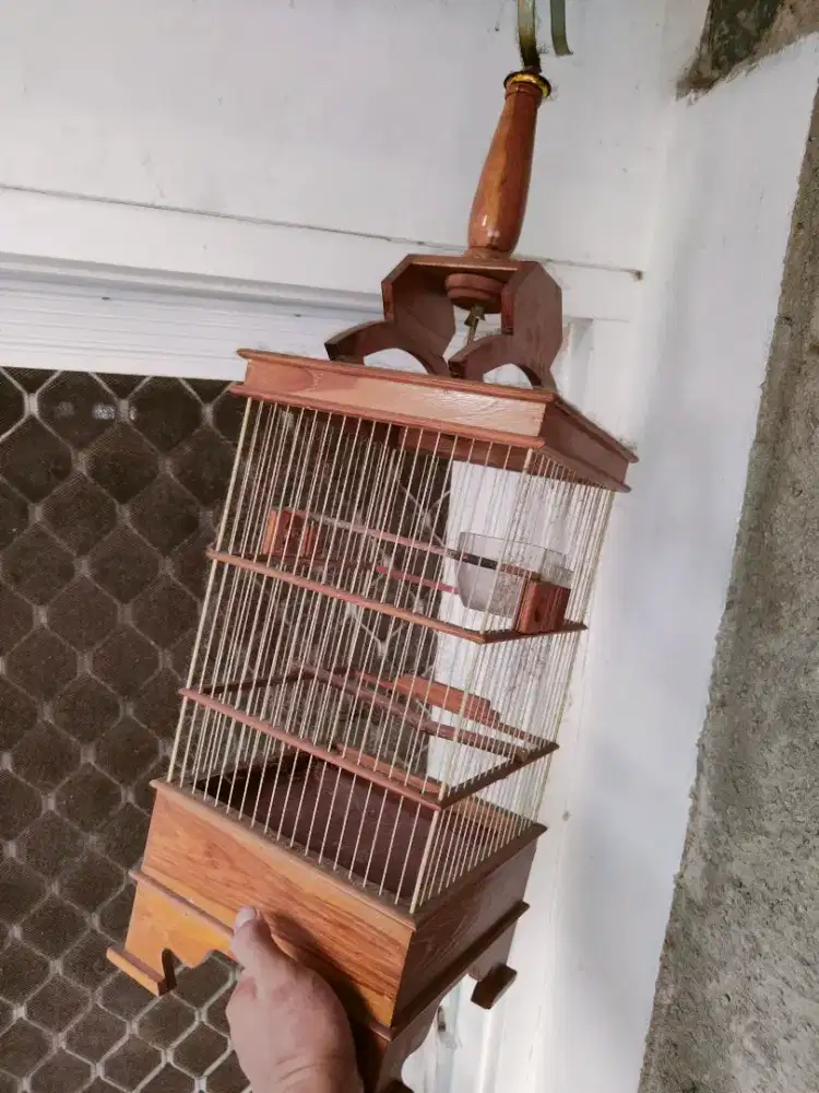 KANDANG KOLIBRI