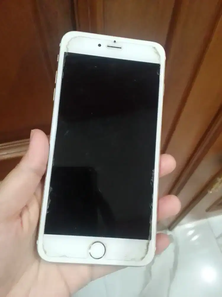 Apple iPhone 6 plus