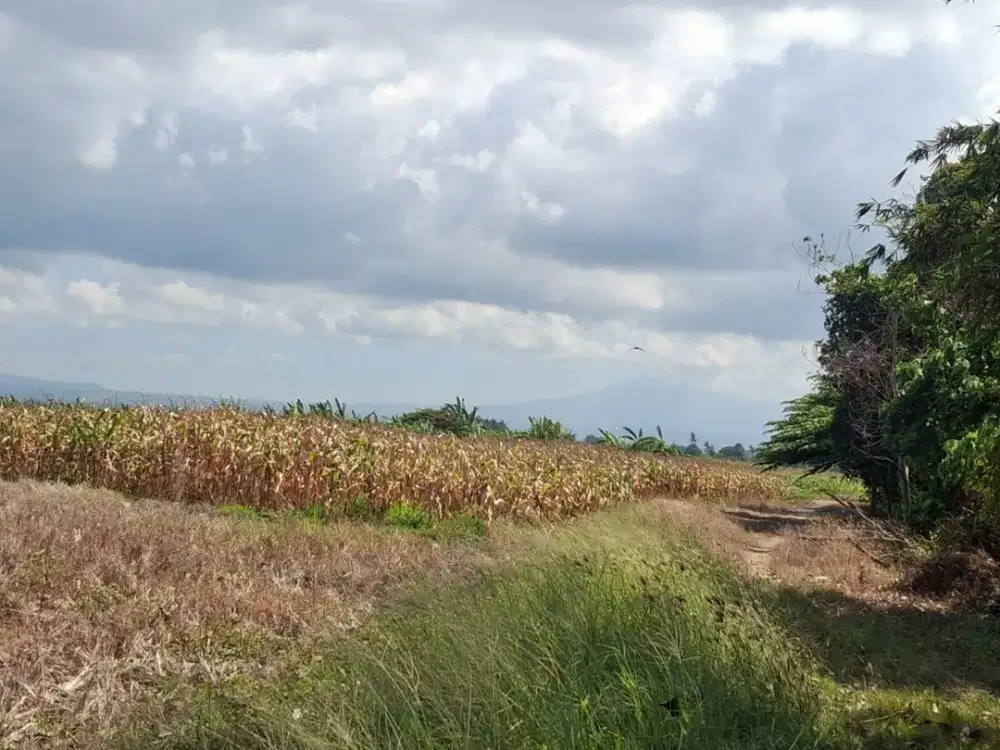 Dijual Tanah Kavling Kontur Datar Zona Pariwisata