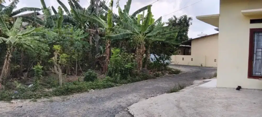 Tanah di jual di sukarame karimun