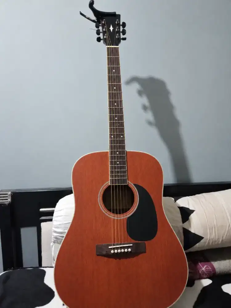 gitar cort ad 810 op