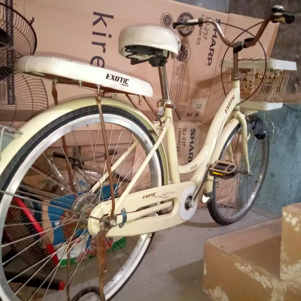 DIJUAL CEPAT SEPEDA EXOTIC