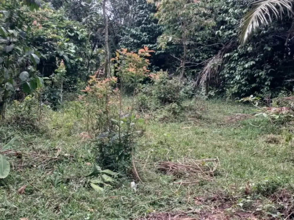 dijual lahan pinggir jalan 1300 meter