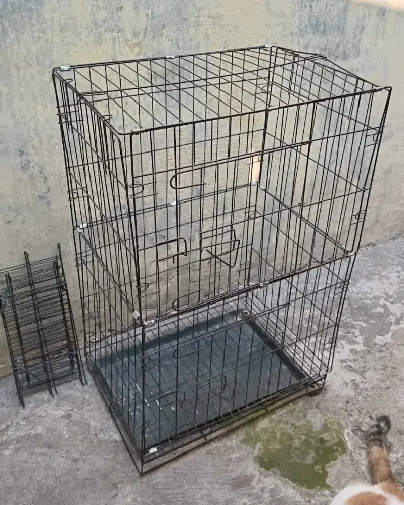 Kandang Kucing Bekas