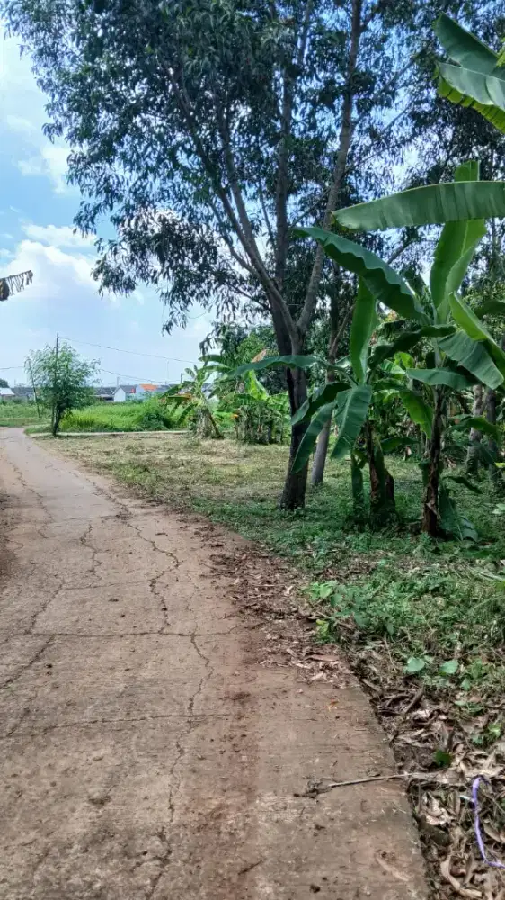 Dijual Tanah/Kebun lokasi dekat Perumahan