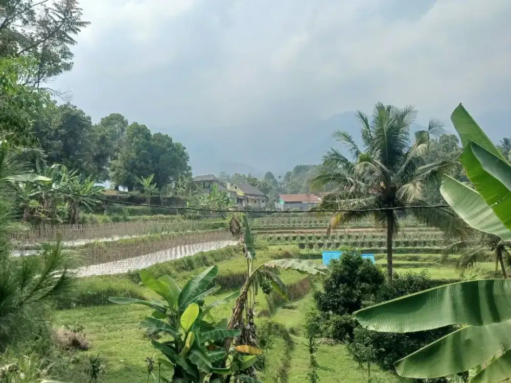 dijual lahan kebun pinggir jalan 1800 meter