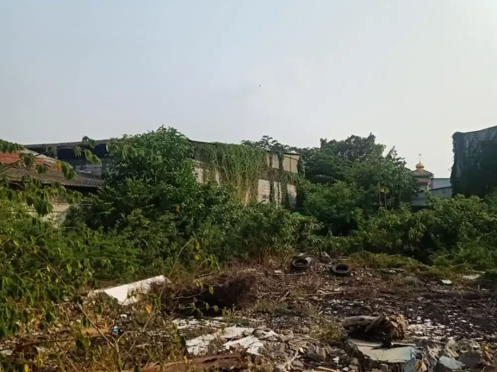 Dijual Tanah di Tegal Alur, kalideres