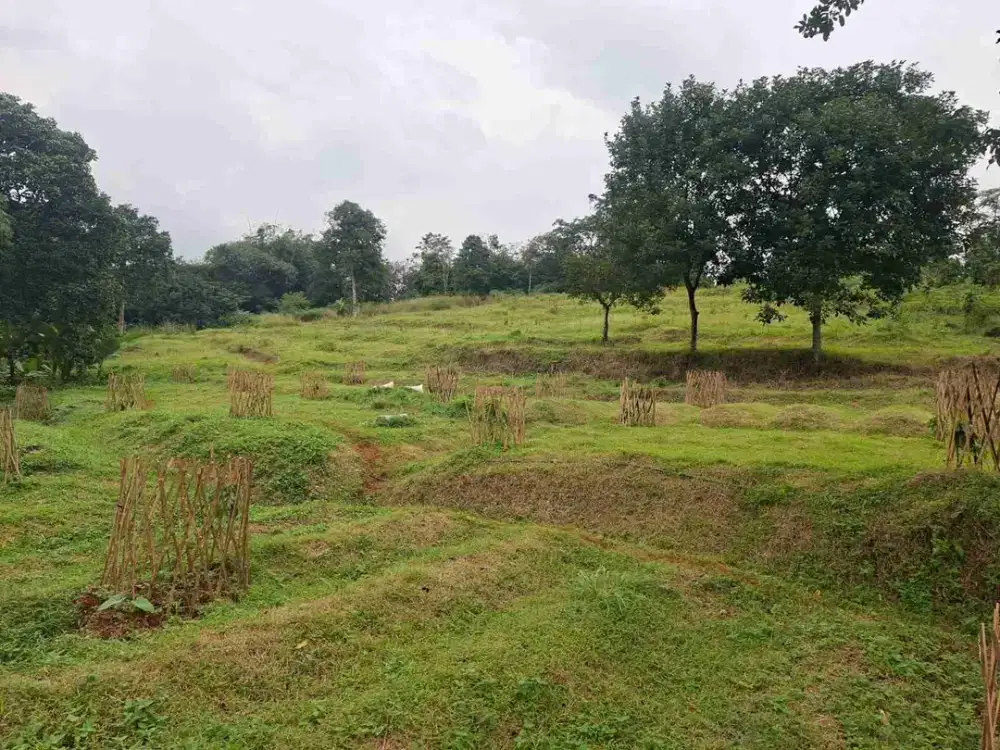 di jual tanah darat luas 1 HA