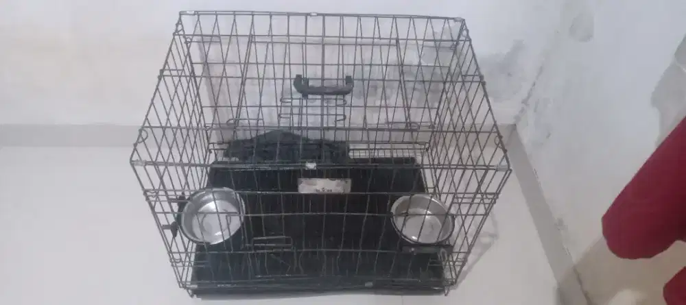 Kandang kucing lokasi cileungsi
