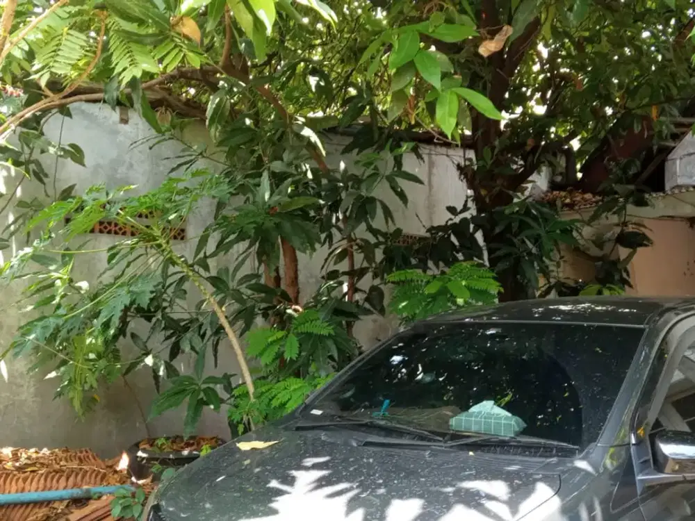 Rumah Hitung Tanah Luas Langka di Jakarta Selatan