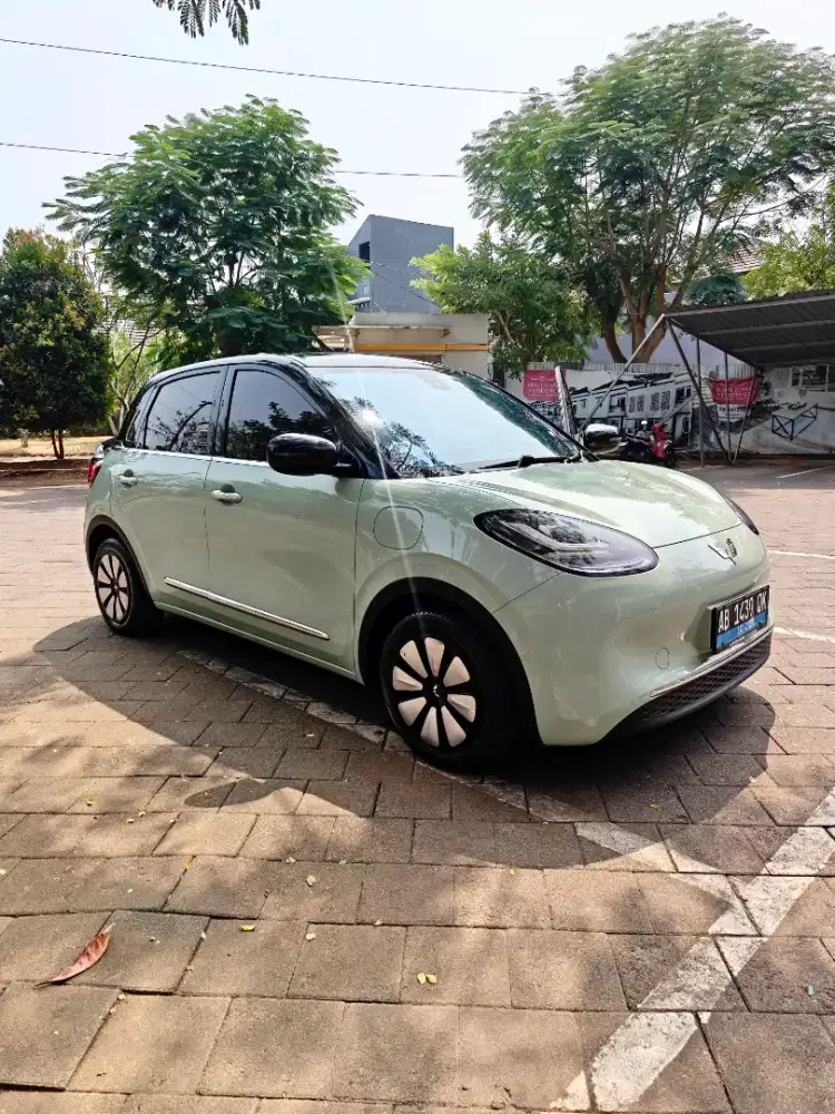 BINGUO PREMIUM RANGE 410 KM TH 2024 ADAPTOR FAST CHARGING CCS2
