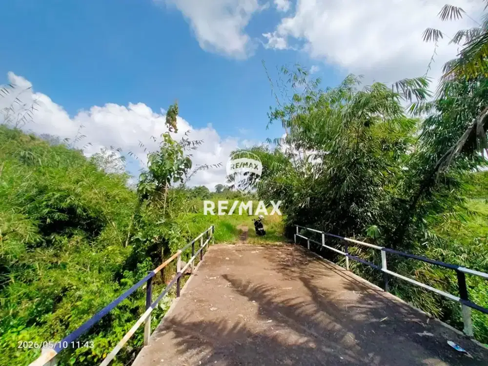 DIJUAL Tanah Strategis Desa GAMBOR, SINGOJURUH- BANYUWANGI