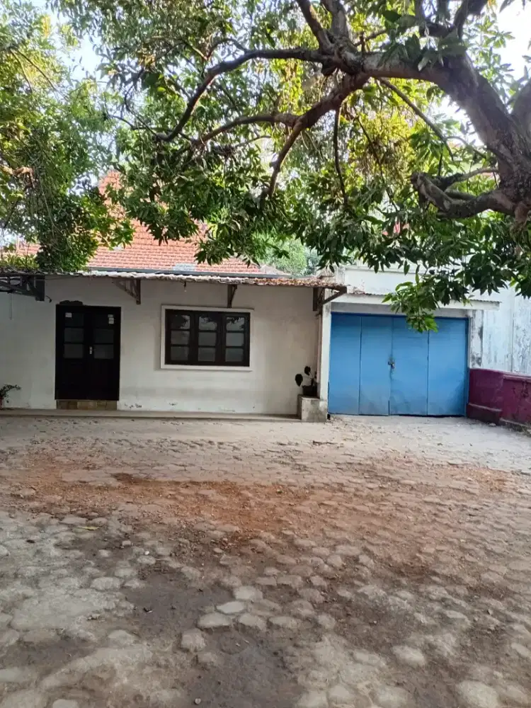 Rumah Luas di Tengah Kota Kudus