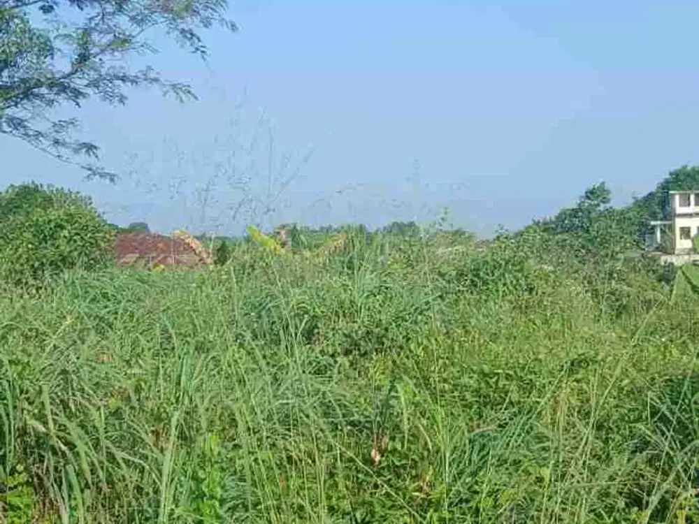 di jual tanah darat luas 3700 m2
