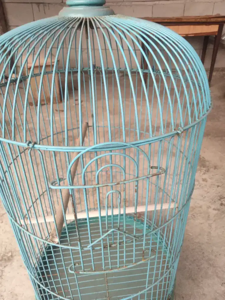 Kandang burung Lovebird