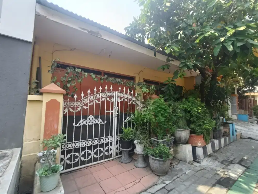 Jual Rumah Nyaman di Surabaya Perak Barat Ikan Tongkol