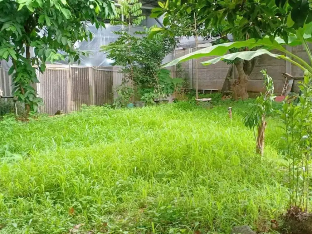 ijual Tanah Jakarta Selatan SHM di Kesehatan Bintaro By Rumah Chinida (Lw)