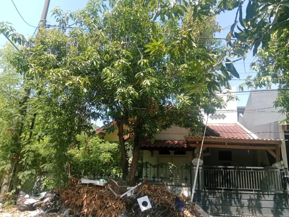Dijual rumah lama Rungkut Mapan Posisi Hook