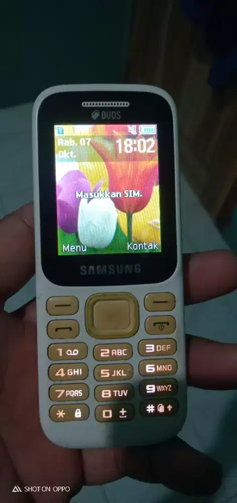 Samsung Guru Music 2 (SM-B310E)