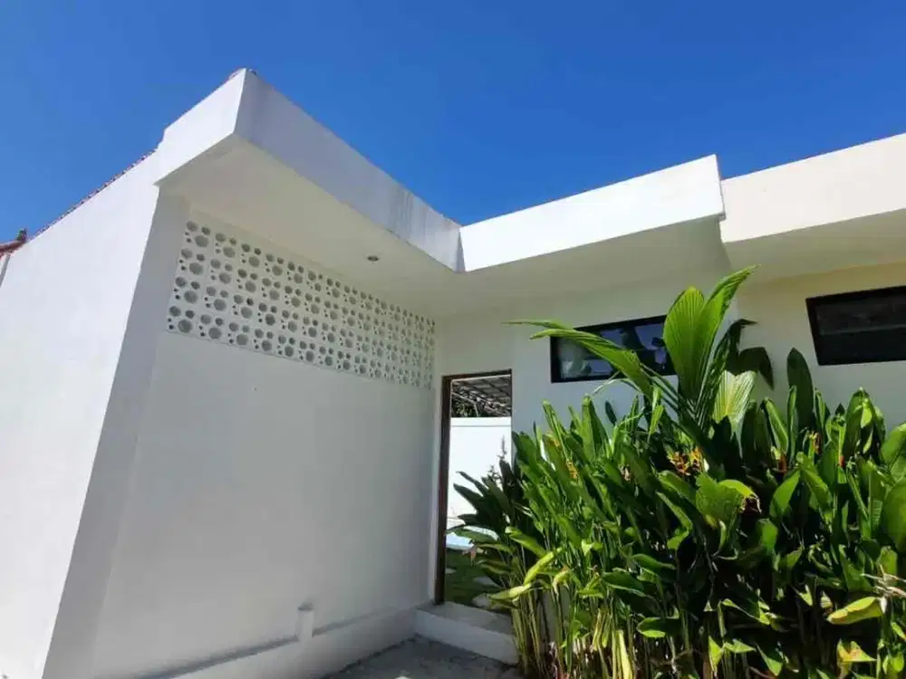 VILLA PRIVATE POOL DI PADONAN CANGGU