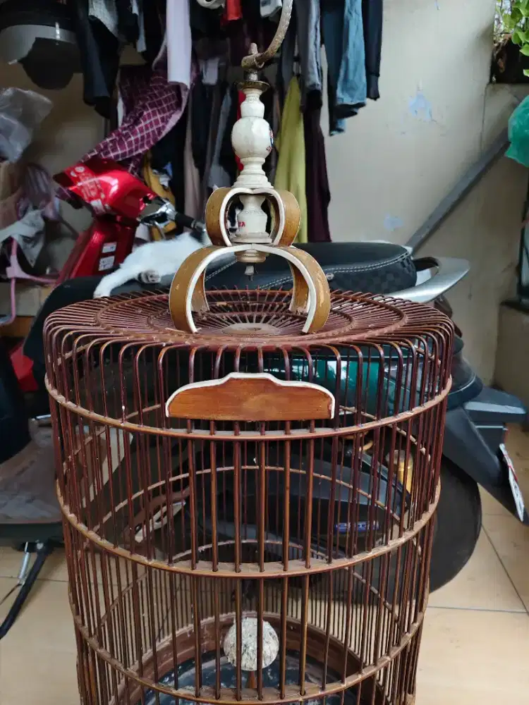 Kandang branjgan ebod acrilic jarang ada