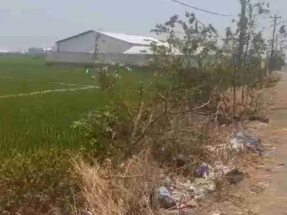 tanah industri pemalang strategis jalan cor