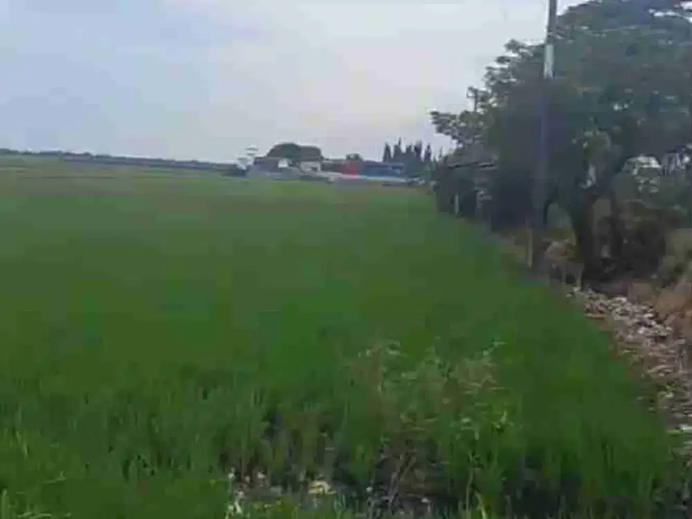 tanah industri jalan pantura pelutan pemalang