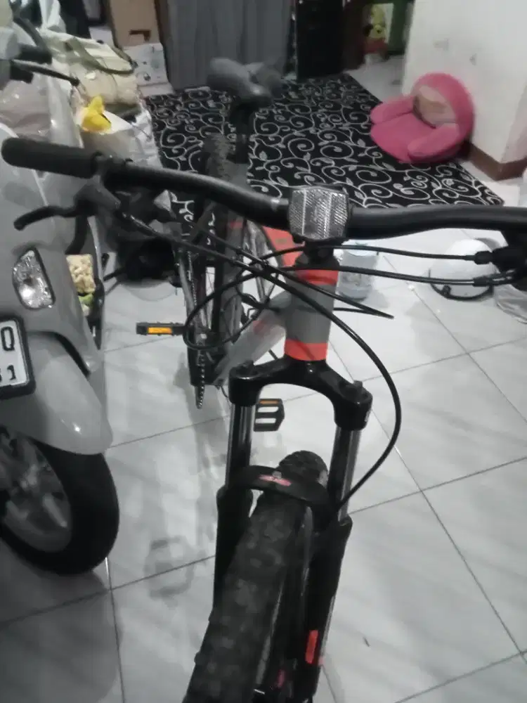 Polygon premier 4 mulus