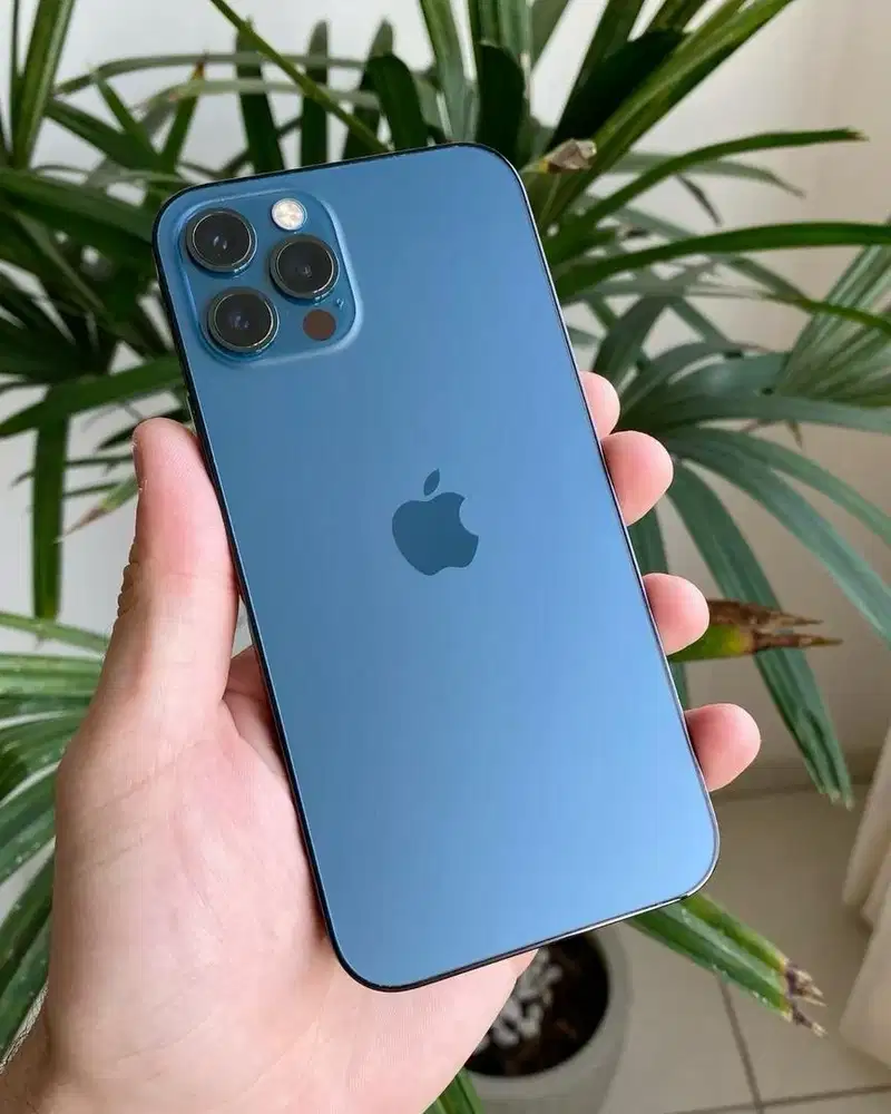 Iphone 12 pro max 128gb resmi ibox