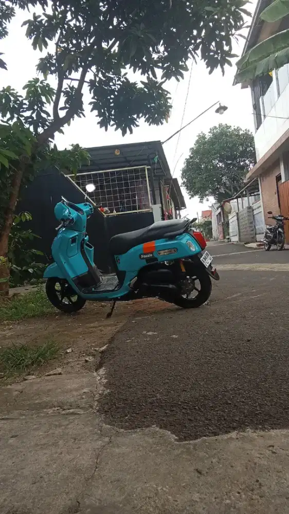 Fazzio Hijau Tosca Th 2022 Pajak Hidup