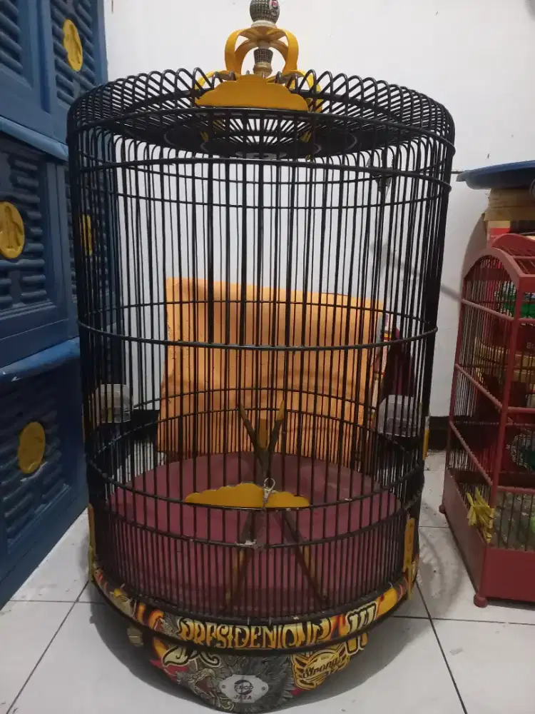 Sangkar burung bekas rasa baru