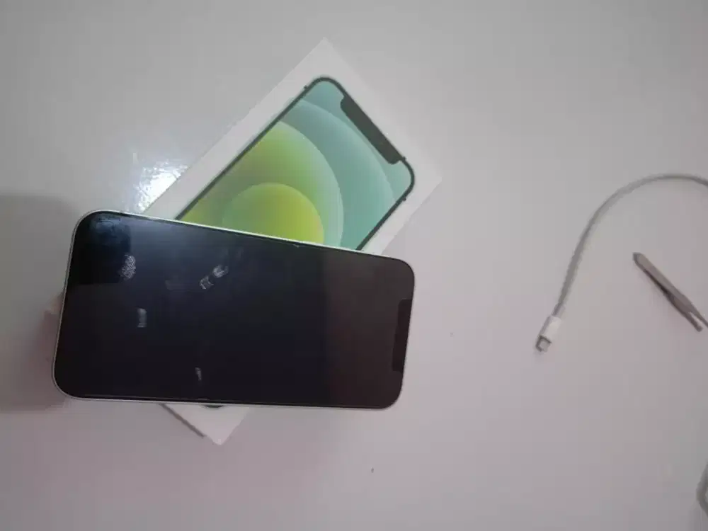 IP 12 256 GB basic inter