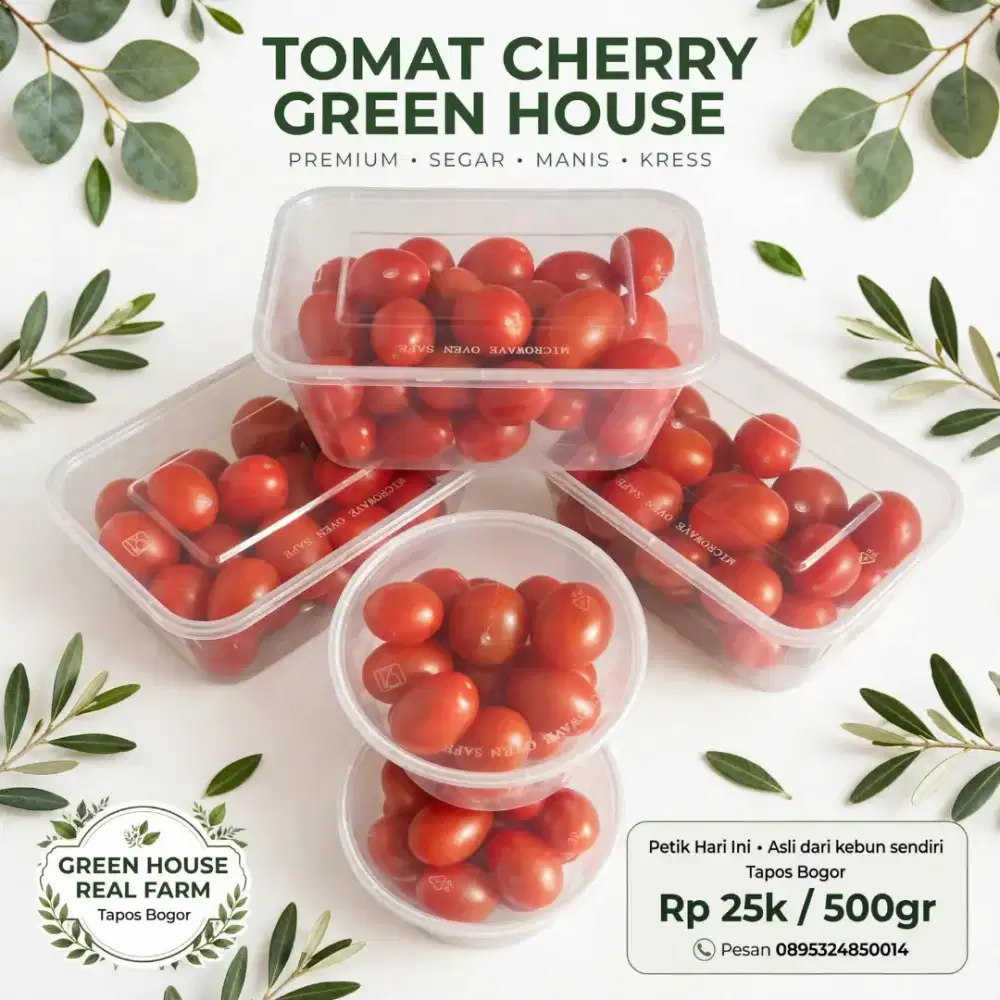 Tomat cery , green house
