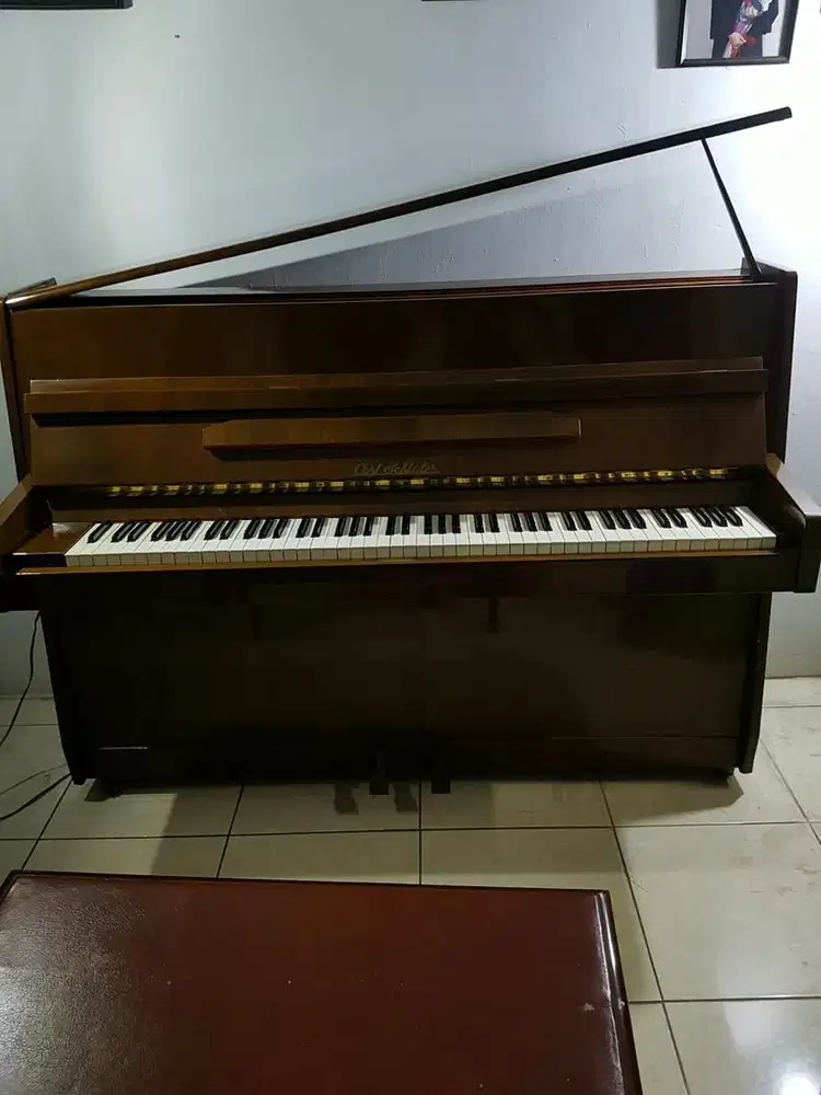 Piano Carl Schluter