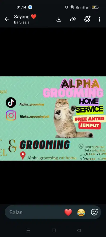 Grooming kucing